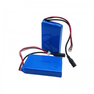 11.1 Volt Lithium Ion Battery Packs
