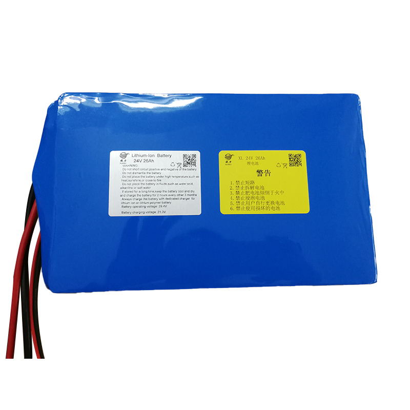 china 24v lithium battery charger factory