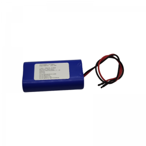 7,4 V 2200 mAh (1)